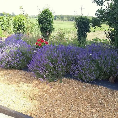 Chalet 4 Pers Pres Du Zoo La Fleche, Ping-pong, Petanque, Barbecue, Pergola Дом отдыха Broc